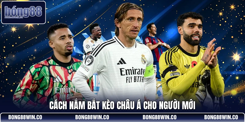 Cách nắm bắt kèo châu Á cho người mới