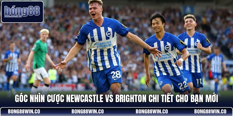 Góc nhìn cược Newcastle vs Brighton chi tiết cho bạn mới